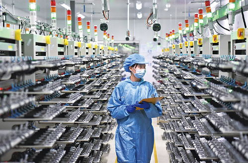 在推动中部地区崛起和长江经济带发展中奋勇争先 新型金属功能材料的机遇与挑战